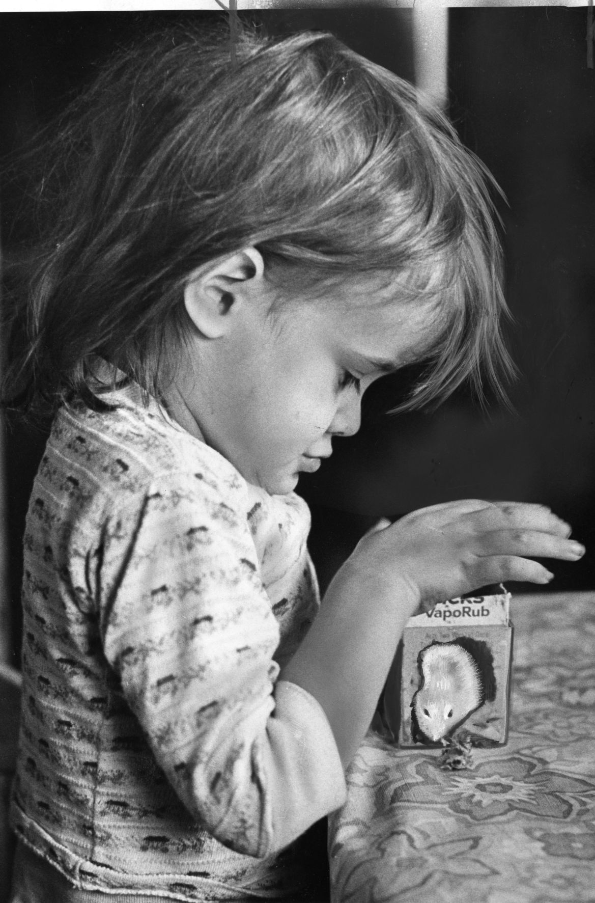 1968